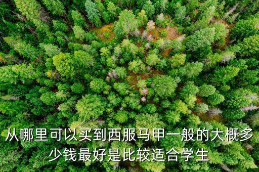什么牌子賣西裝馬甲，什么牌子的西裝馬甲好