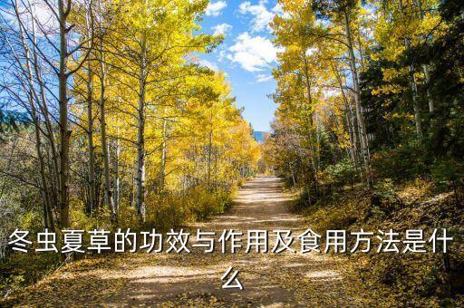 含著吃的蟲(chóng)草是什么，信和安堂蟲(chóng)草片效果怎么樣