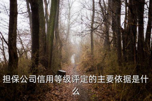 擔(dān)保公司信用等級評定的主要依據(jù)是什么