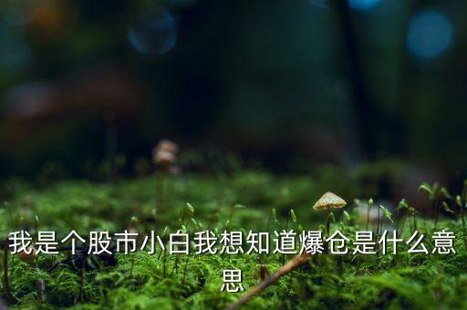我是個(gè)股市小白我想知道爆倉(cāng)是什么意思