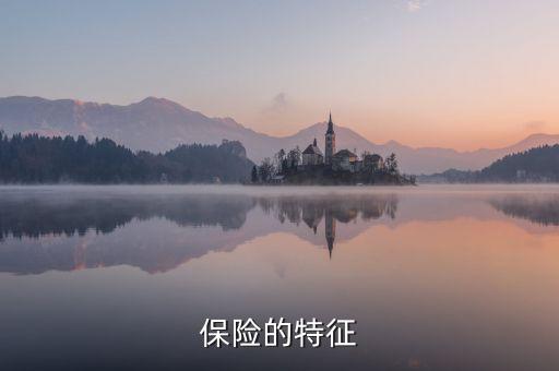 保險的特征