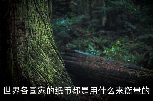 外匯儲備能衡量什么，世界各國家的紙幣都是用什么來衡量的