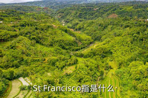 st戰(zhàn)略是什么，ST戰(zhàn)略是什么意思