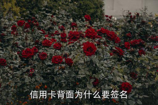 信用卡背面為什么要簽名，信用卡背后為什么要簽字
