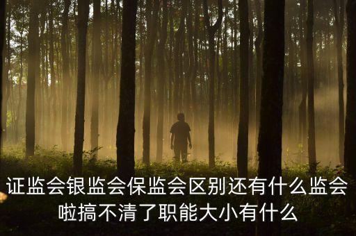 證監(jiān)會(huì)銀監(jiān)會(huì)保監(jiān)會(huì)區(qū)別還有什么監(jiān)會(huì)啦搞不清了職能大小有什么