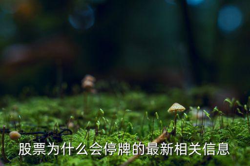 002437為什么停牌，股票為什么停牌