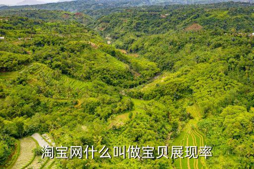 什么是展現(xiàn)指數(shù)，淘寶關(guān)鍵詞展現(xiàn)指數(shù)點(diǎn)擊數(shù)熱度趨勢是什么意思