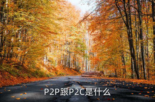 p2c平臺是什么，什么是P2P什么是P2C