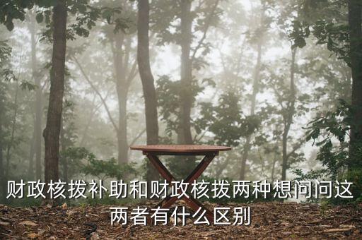財(cái)政核撥補(bǔ)助和財(cái)政核撥兩種想問問這兩者有什么區(qū)別