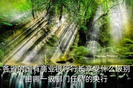 招商銀行行長(zhǎng)什么級(jí)別，各省的國(guó)有商業(yè)銀行行長(zhǎng)享受什么級(jí)別由哪一級(jí)部門(mén)任命的央行