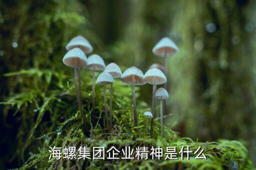 海螺集團(tuán)企業(yè)精神是什么