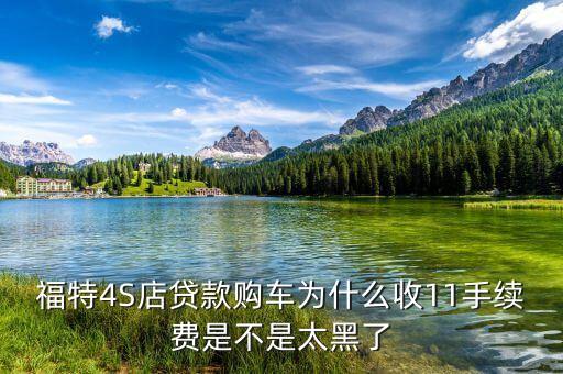 福特4S店貸款購(gòu)車為什么收11手續(xù)費(fèi)是不是太黑了