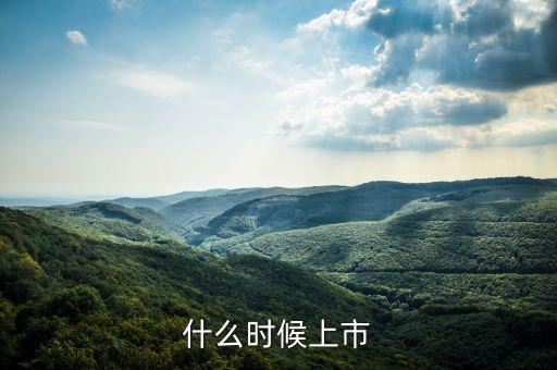 什么時候上市