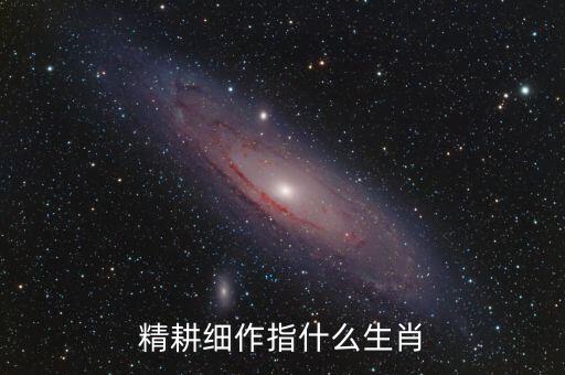 精耕細(xì)作指什么生肖