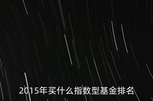2015年買什么指數(shù)型基金排名