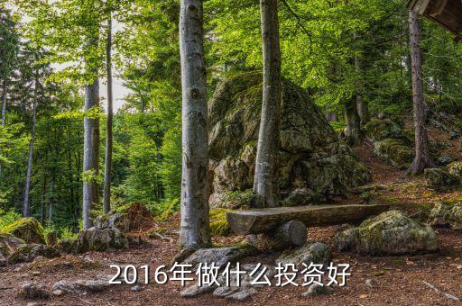 2016年適合做什么投資，2016年適合做什么生意呢