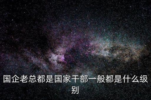國企老總都是國家干部一般都是什么級別