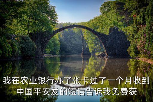 我在農(nóng)業(yè)銀行辦了張卡過了一個月收到中國平安發(fā)的短信告訴我免費獲