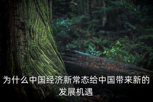 為什么中國(guó)經(jīng)濟(jì)新常態(tài)給中國(guó)帶來(lái)新的發(fā)展機(jī)遇