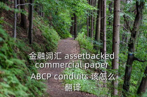 金融詞匯 assetbacked commercial paper ABCP conduits 該怎么翻譯