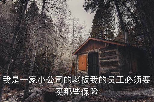 我是一家小公司的老板我的員工必須要買那些保險