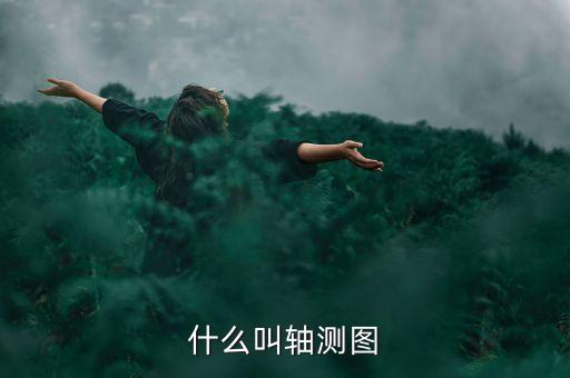 什么叫合力貸，什么叫格蘭肉