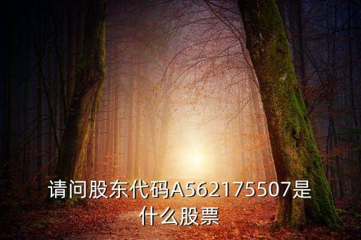請問股東代碼A562175507是什么股票