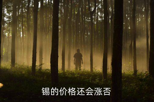 錫的價格還會漲否