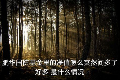 鵬華國防基金里的凈值怎么突然間多了好多 是什么情況