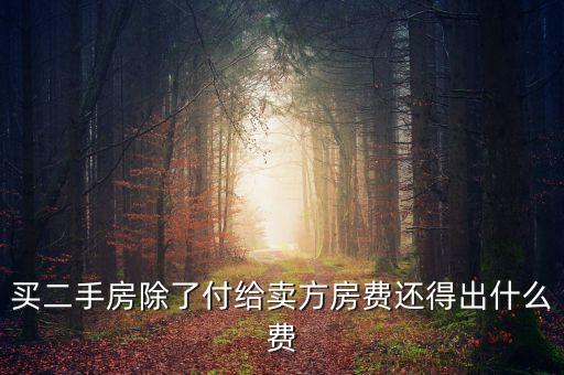 買二手房除了付給賣方房費還得出什么費