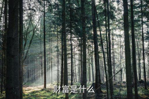 財(cái)富是什么莫奈，財(cái)富是什么