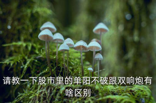 什么是單陰不破，股市中什么叫高位不破