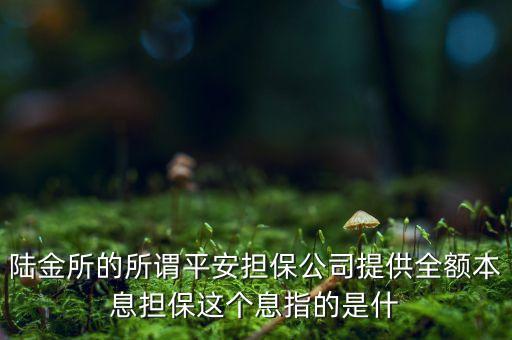 陸金所的所謂平安擔(dān)保公司提供全額本息擔(dān)保這個息指的是什