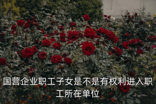 國營企業(yè)職工子女是不是有權(quán)利進(jìn)入職工所在單位