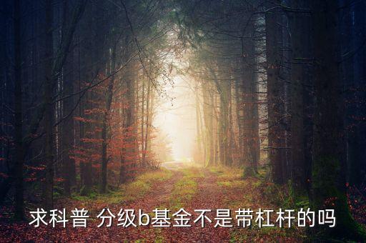 b級(jí)為什么是加杠桿，求科普 分級(jí)b基金不是帶杠桿的嗎