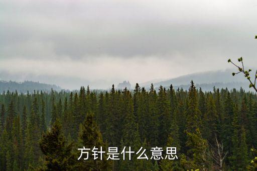 施政方針是什么意思，如何闡述當(dāng)前國家的施政方針