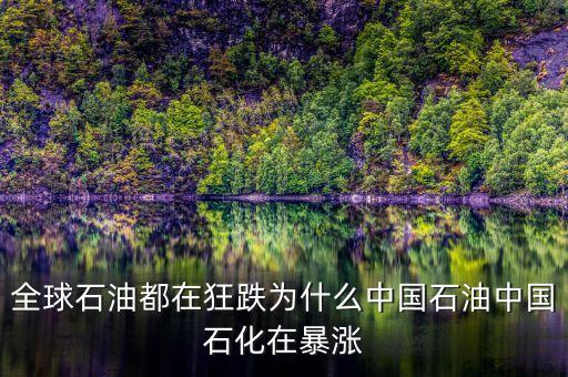 全球石油都在狂跌為什么中國石油中國石化在暴漲