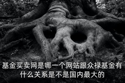 眾祿基金網(wǎng)是干什么的，基金買賣網(wǎng)是哪一個網(wǎng)站跟眾祿基金有什么關(guān)系是不是國內(nèi)最大的