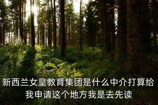 Argonaut公司是做什么的，英文淘金者怎么寫(xiě)