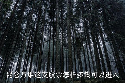 昆侖萬維這支股票怎樣多錢可以進(jìn)入