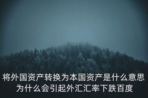本國資產(chǎn)什么意思，如何定義本國的外國財產(chǎn)舉中國為例