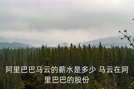阿里巴巴為什么急于上市，比爾蓋茨不是說馬云是中國的比爾蓋茨嗎