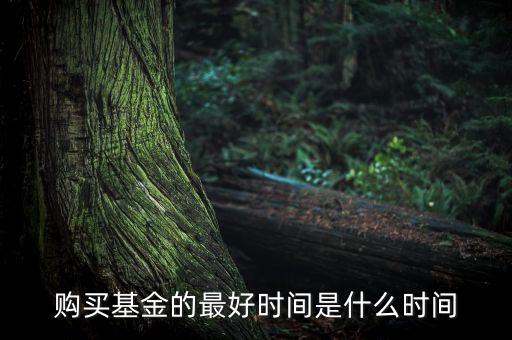 指數(shù)基金什么時候買，購買基金的最好時間是什么時間