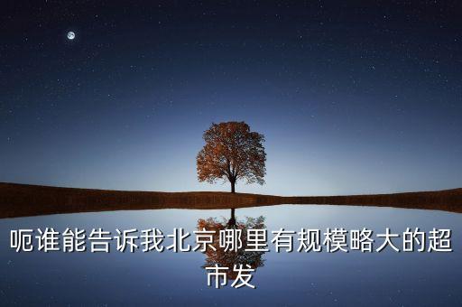 北京超市發(fā)有什么部門，呃誰(shuí)能告訴我北京哪里有規(guī)模略大的超市發(fā)