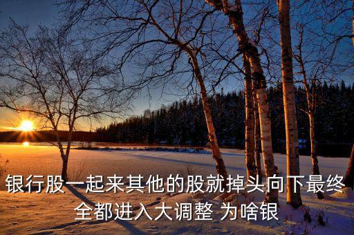 銀行調(diào)頭資金是什么，銀行股一起來其他的股就掉頭向下最終全都進(jìn)入大調(diào)整 為啥銀