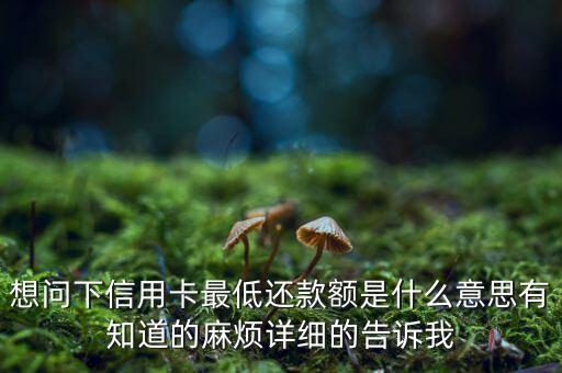 想問下信用卡最低還款額是什么意思有知道的麻煩詳細(xì)的告訴我