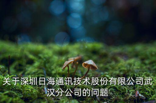 關(guān)于深圳日海通訊技術(shù)股份有限公司武漢分公司的問題