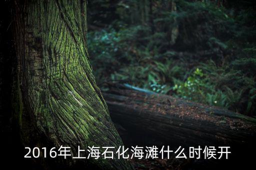 2016年上海石化海灘什么時(shí)候開
