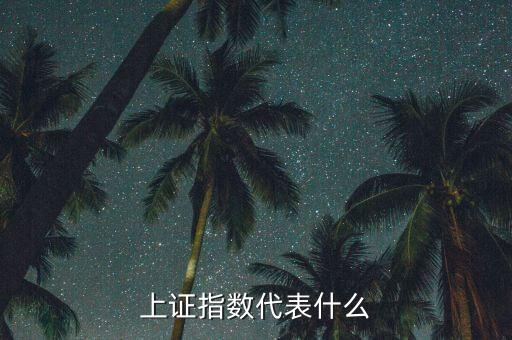 上證指數(shù)反應(yīng)了什么，證券指數(shù)代表了什么