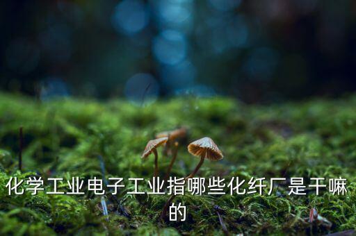 化學工業(yè)電子工業(yè)指哪些化纖廠是干嘛的